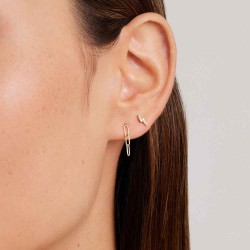 14k Gold Parker Earrings