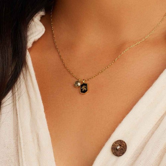 Power Gemstone Crest Necklace